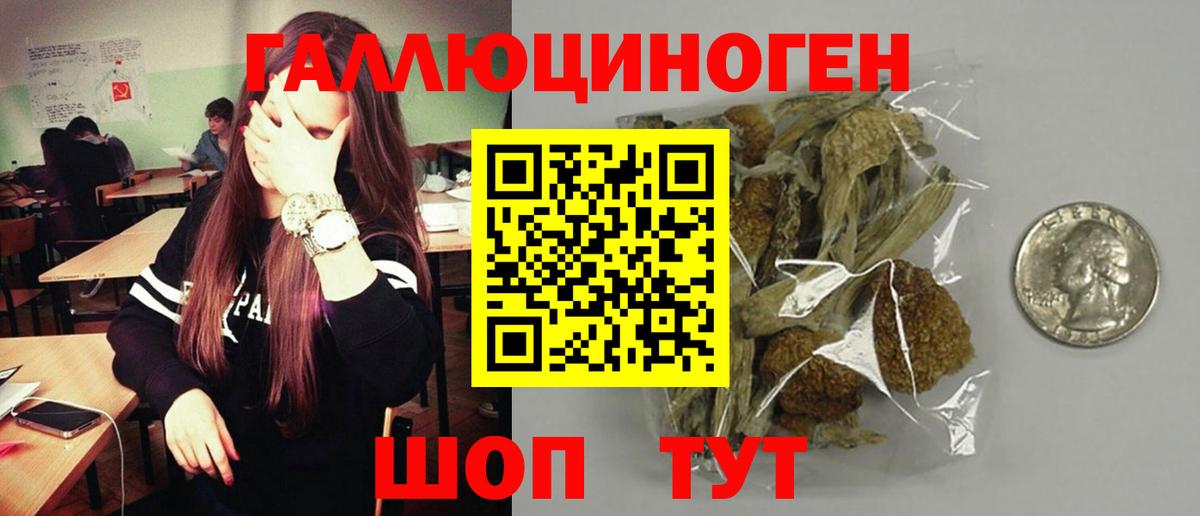 Галлюциногенные грибы ЛСД  купить   Усть-Илимск  Вход с VPN 